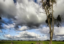 乌迪内斯足球俱乐部，意甲赛场的造星工厂与独特生存之道？